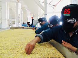 VERIFICACION DE CALIDAD